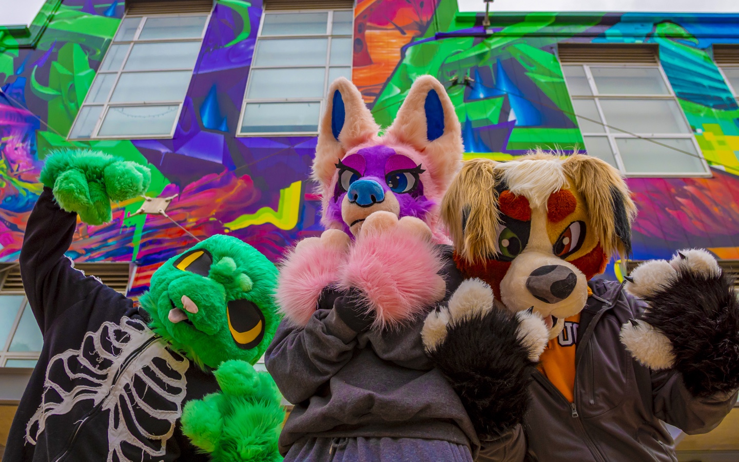 What is a furry